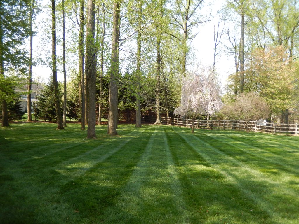 Independence Landscaping