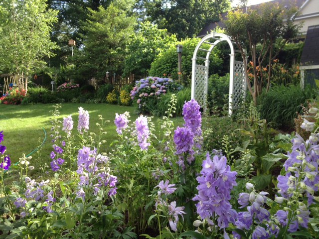 Independence Landscaping