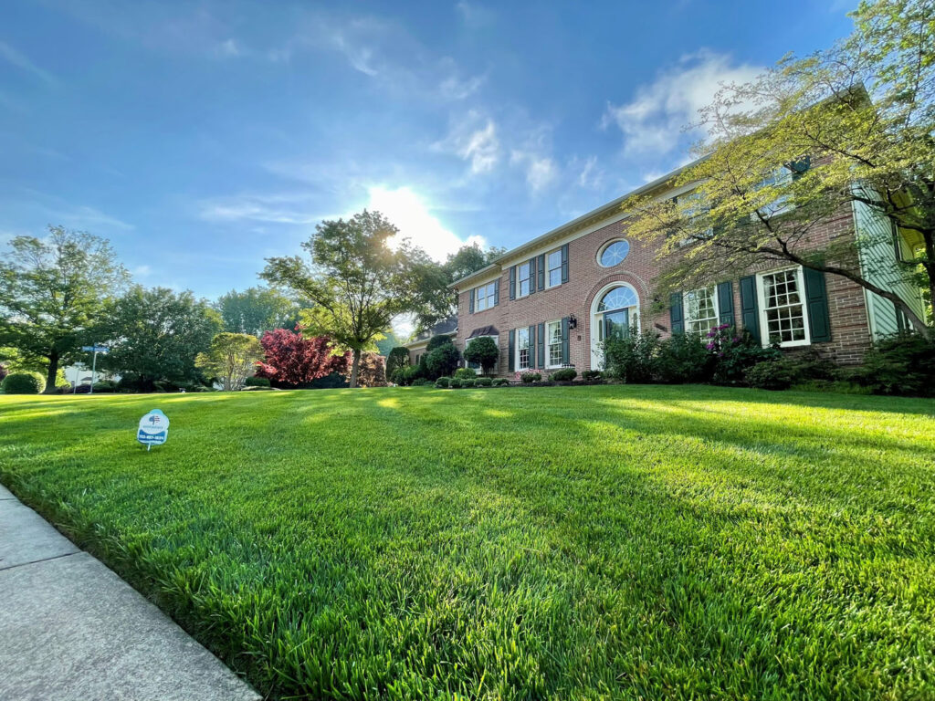 Independence Landscaping