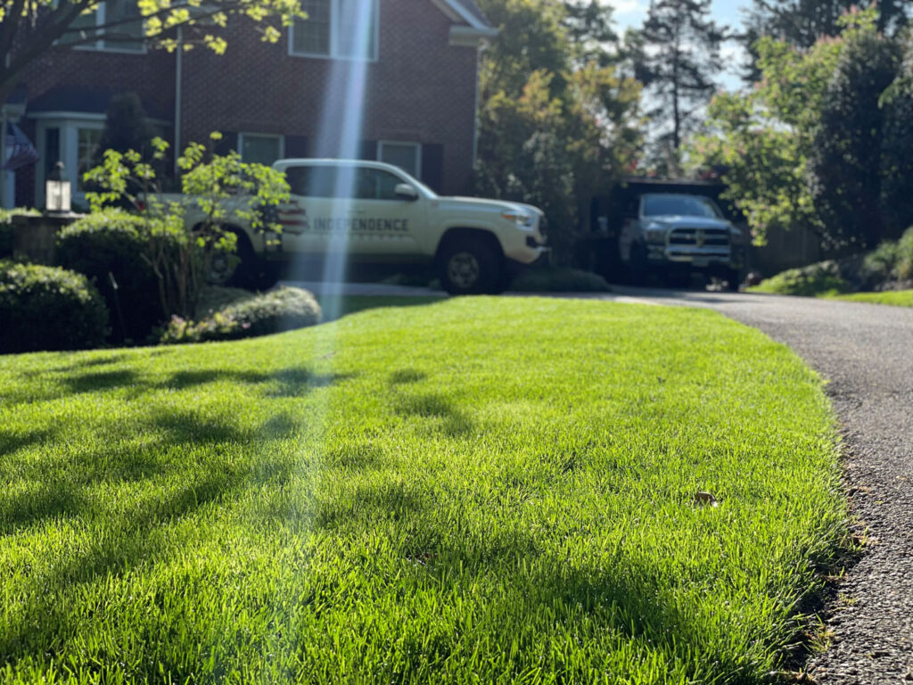 Independence Landscaping