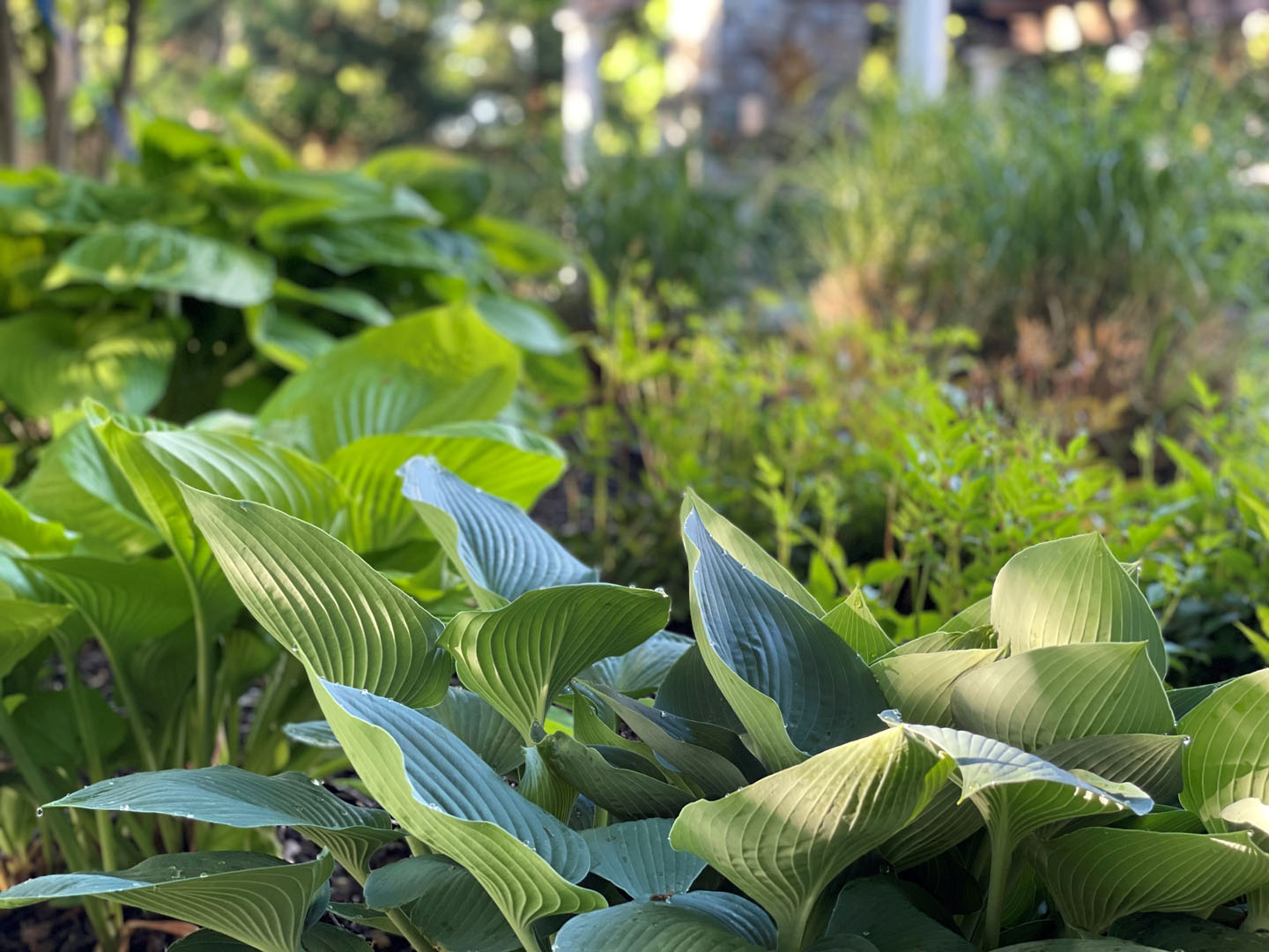 Independence Landscaping