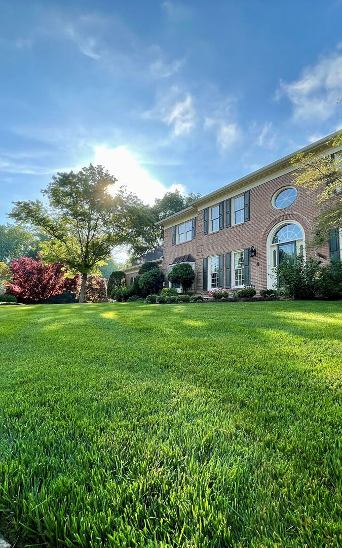 Independence Landscape mowing a lawn in dumfries, VA