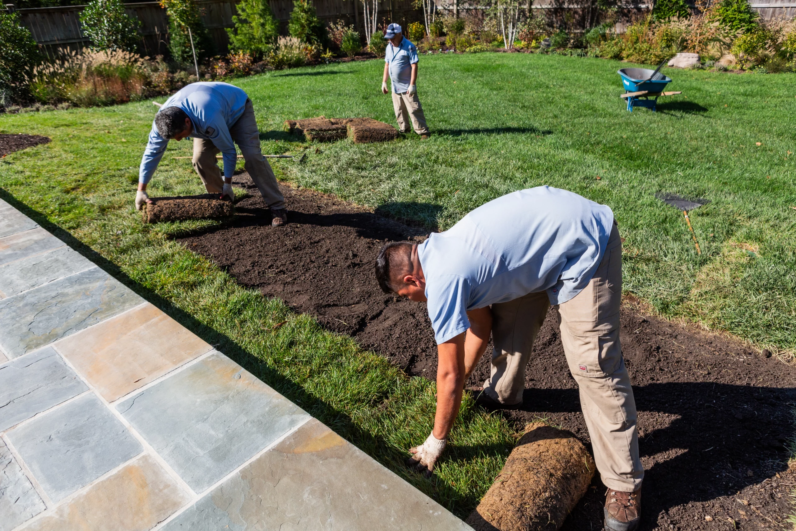 Lawn Maintenance, VA
