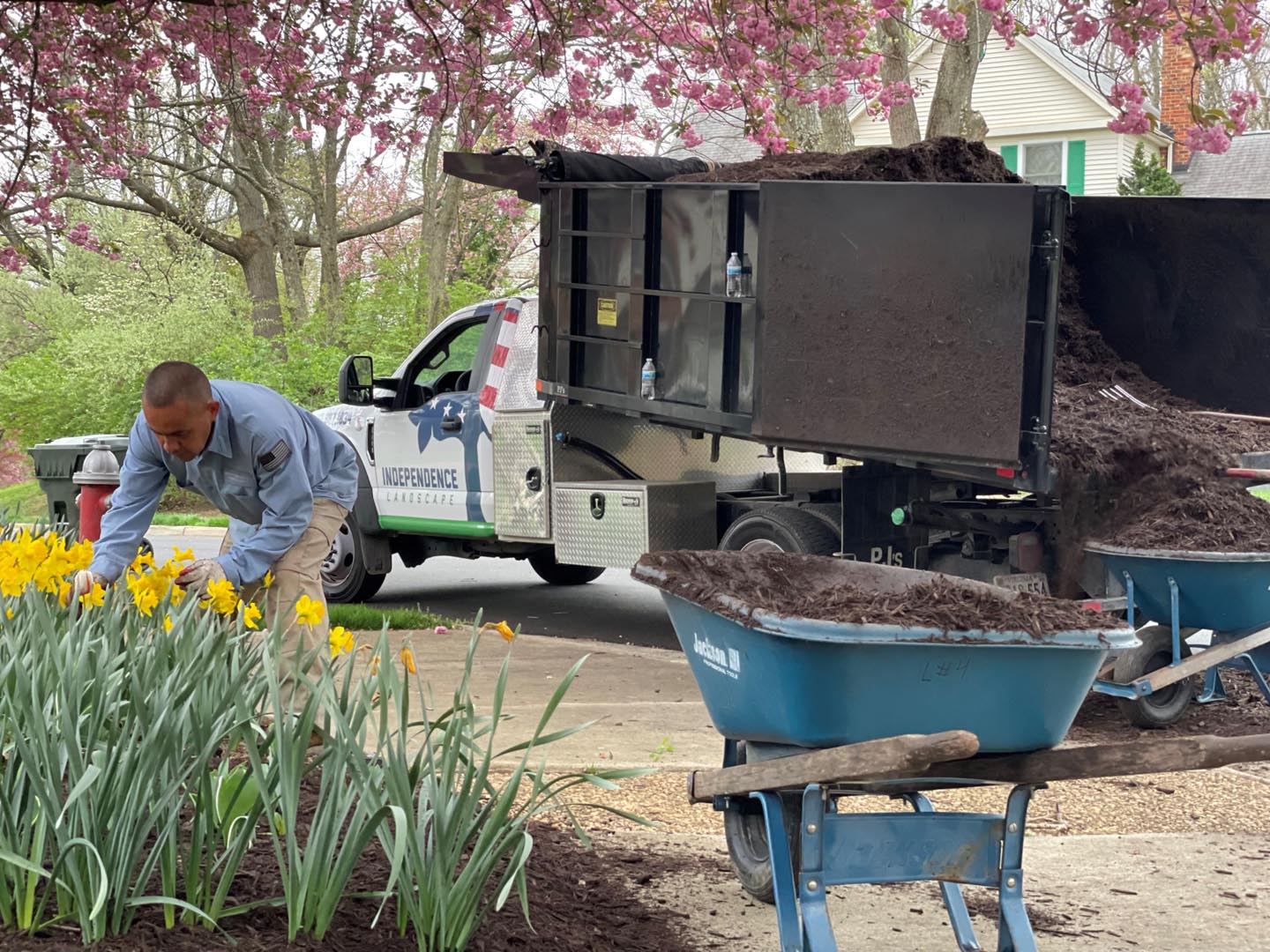 Independence Landscaping