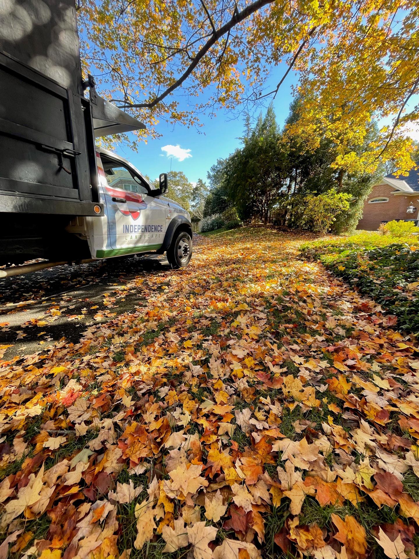 leaf removal