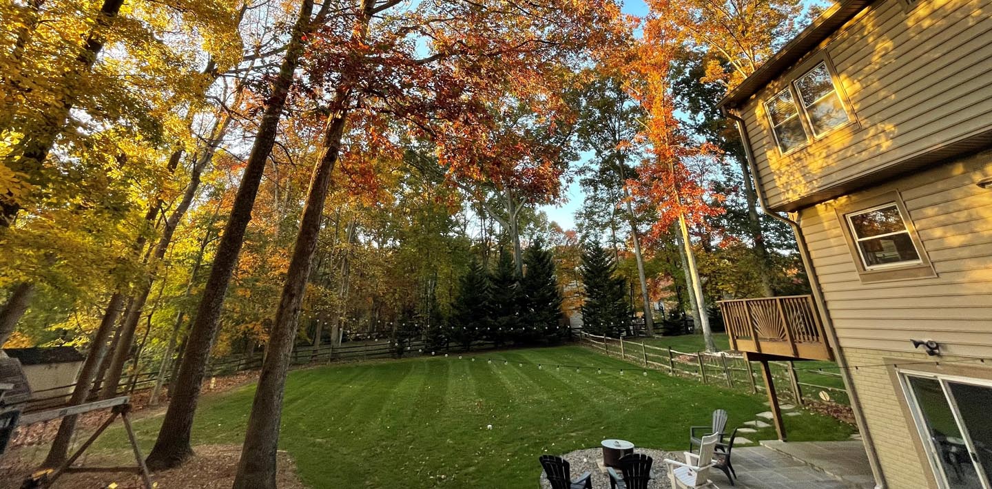 Independence Landscaping