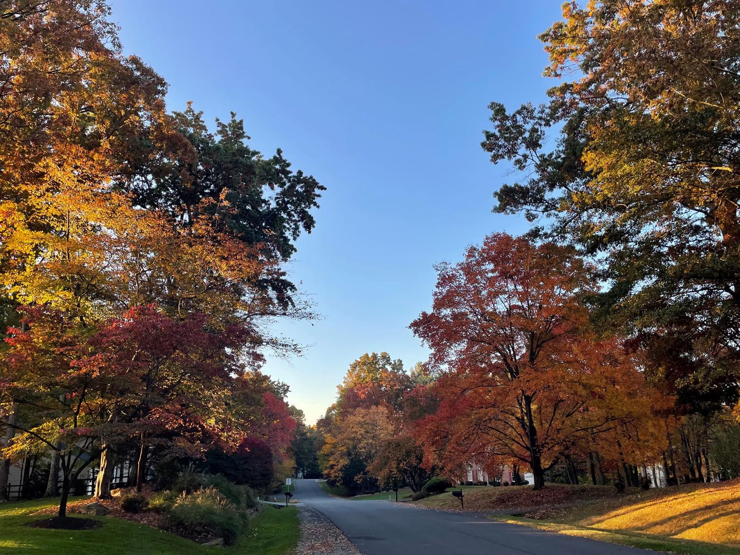 Independence Landscaping