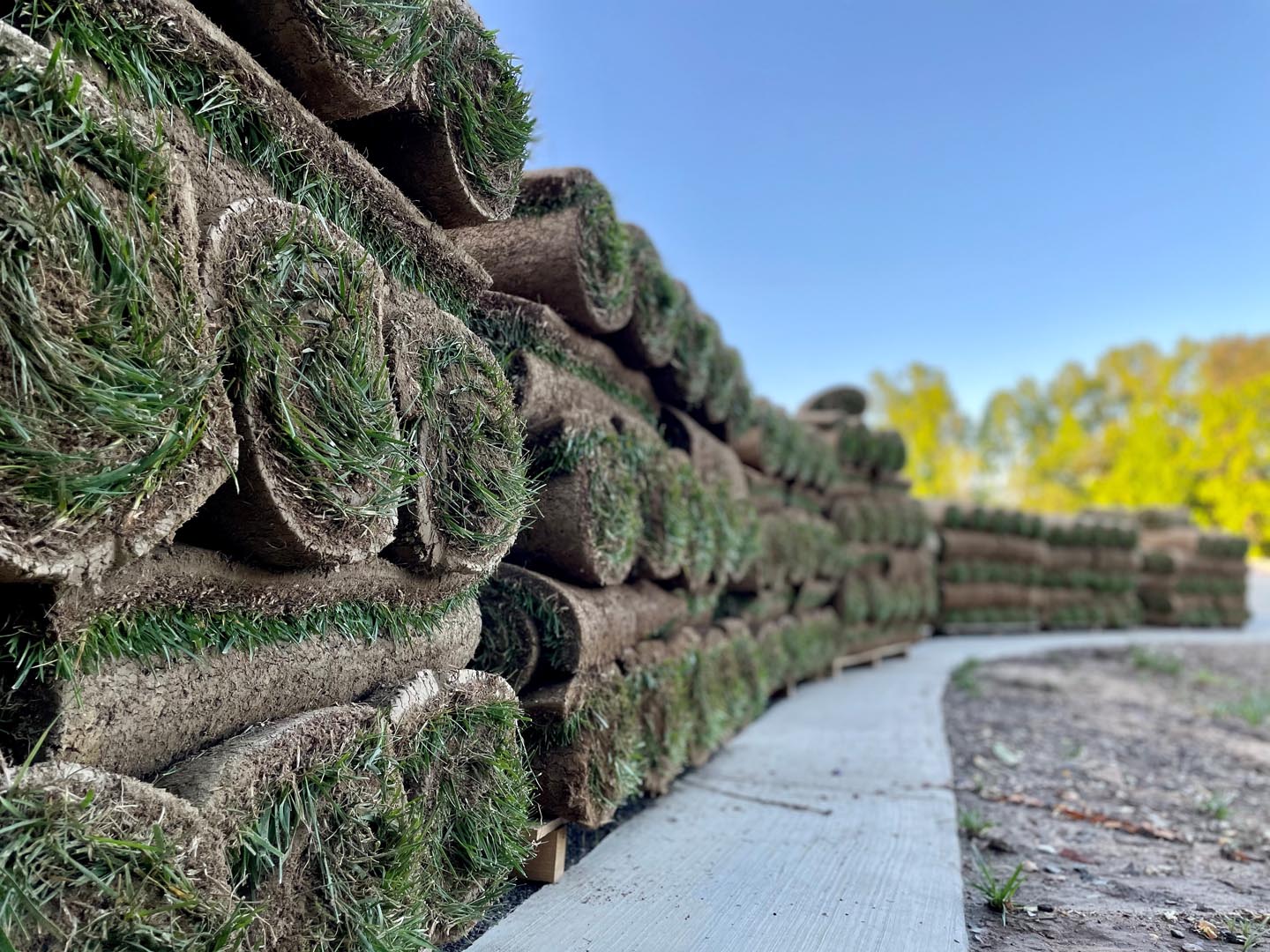 Independence Landscaping