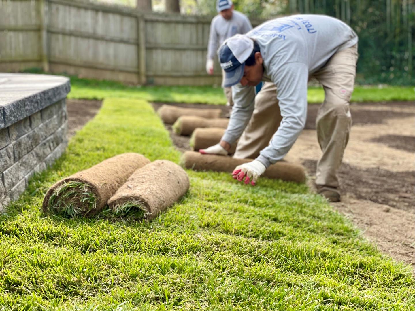 sod installation