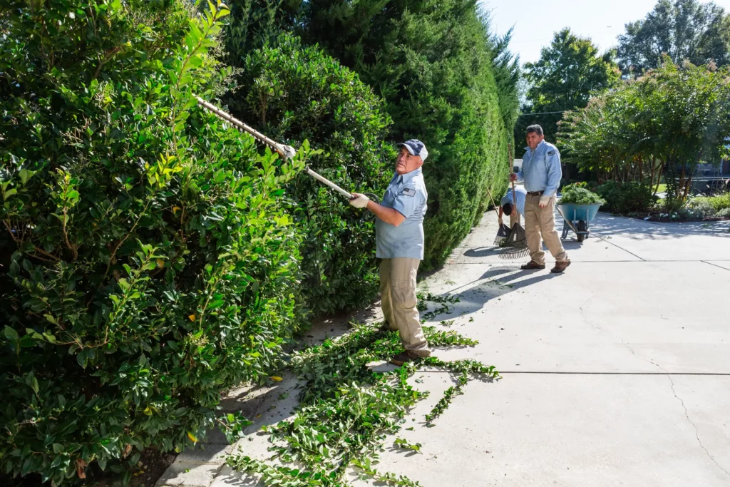 Independence Landscaping