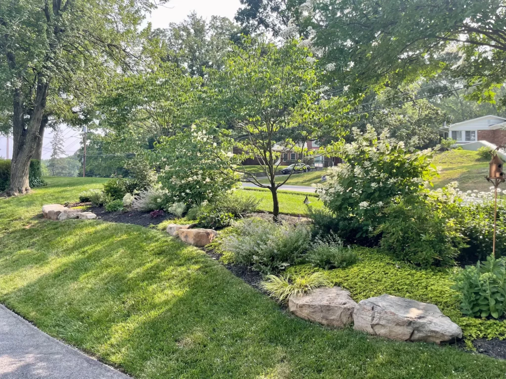 Independence Landscaping