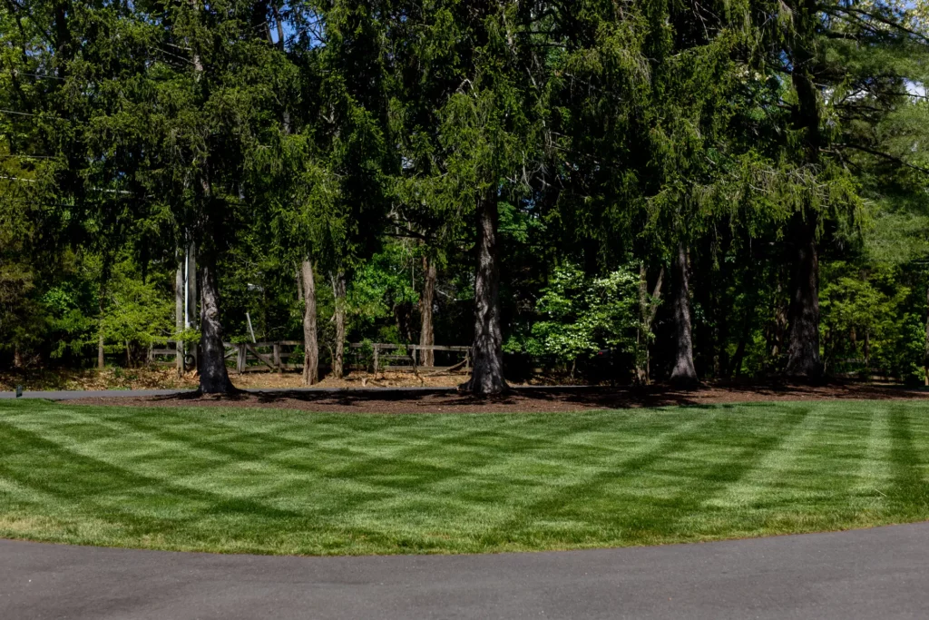 Independence Landscaping