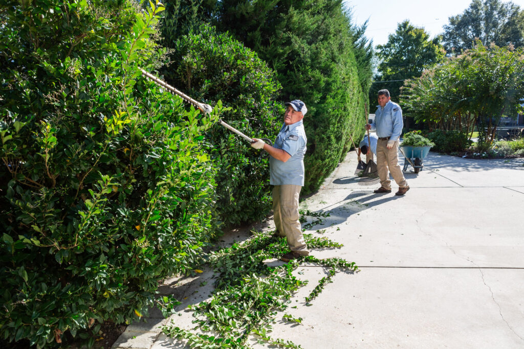 Independence Landscaping