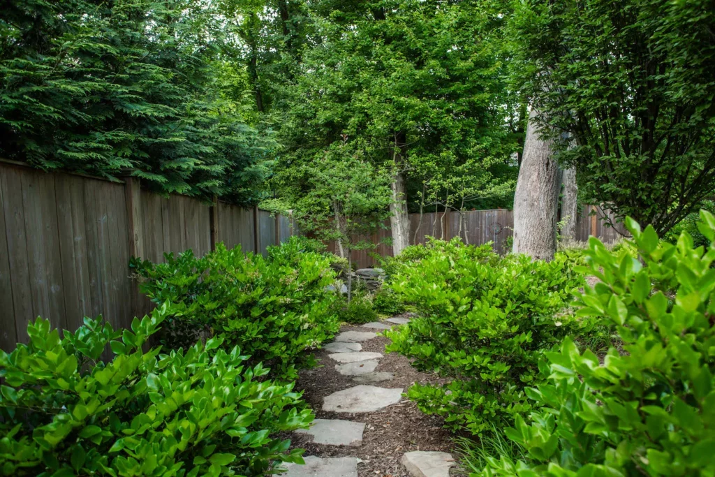 Garden stepping path, how to keep mosquitoes away naturally