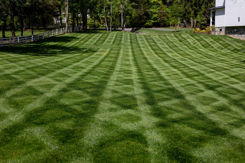 Independence Landscaping