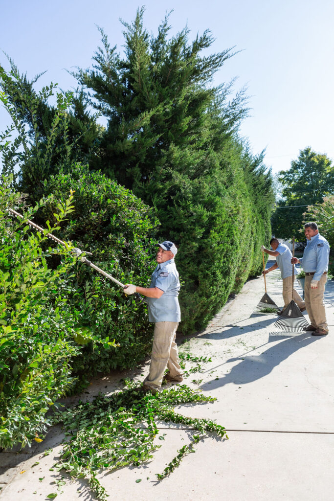 Independence Landscaping